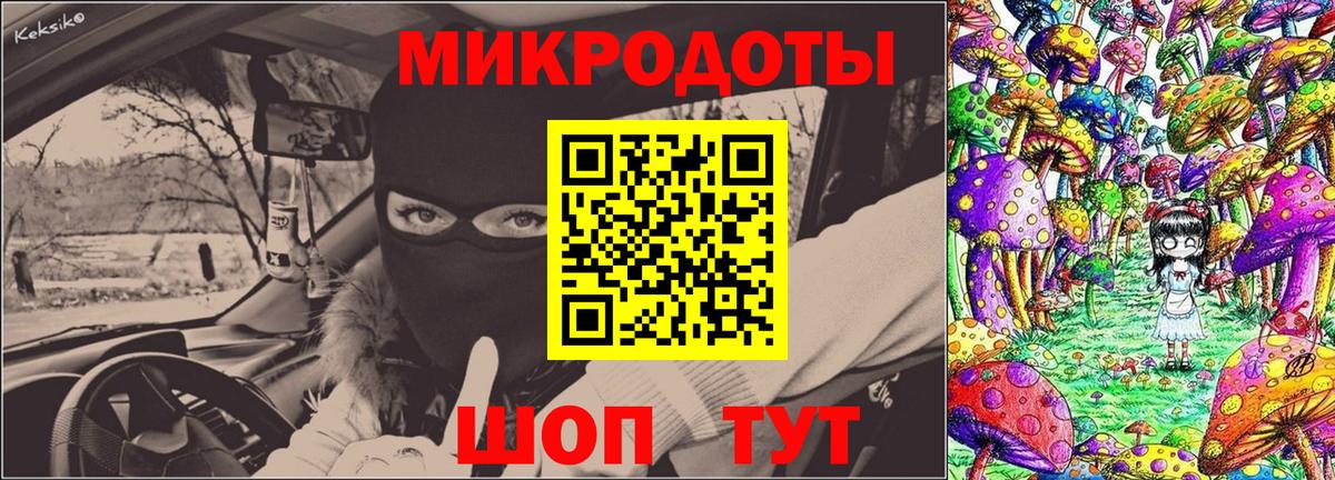 Псилоцибиновые грибы мицелий Удомля